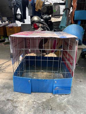 Chuồng nuôi gà Kẽm Nhựa 60x60 cm. Mua bán Phụ kiện, Thức ăn, Dịch vụ tại Quận Gò Vấp Tp Hồ Chí Minh được đăng bởi Kit Kat