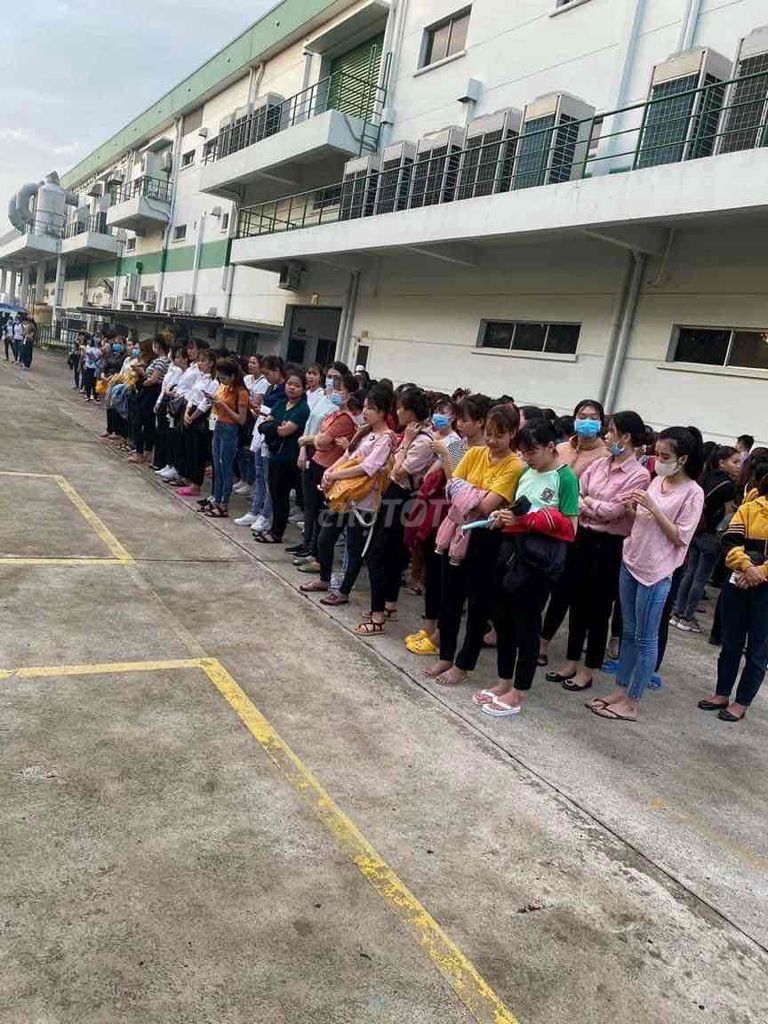 CTY SỮA ABBOOT. Việc làm PG tại Thành phố Bến Tre Bến Tre được đăng bởi Khoa Anh Hr hình 1