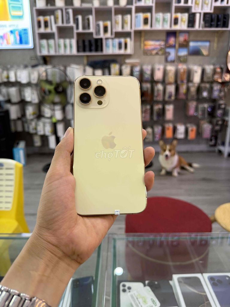 Apple iPhone 13 Pro Max 256GB ngon. Mua bán Điện thoại tại Quận Hải Châu Đà Nẵng được đăng bởi Hoàng Táo 273 Nguyễn Hoàng Đà Nẵng hình 1