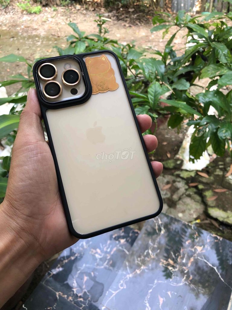 IPhone XSMAX 64gd quốc tế full cn lên 13 promax