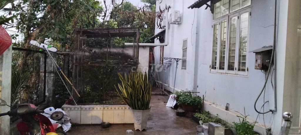 Lồng chim kim loại 2.5x2x2m. Mua bán Phụ kiện, Thức ăn, Dịch vụ tại Thành phố Long Khánh Đồng Nai được đăng bởi duẩn hình 1