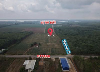 Chủ ngộp cần bán gấp lô đất đường Minh Hòa 31 view núi Bà Đen