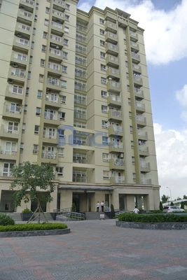 QUỲNH CHÂU logo