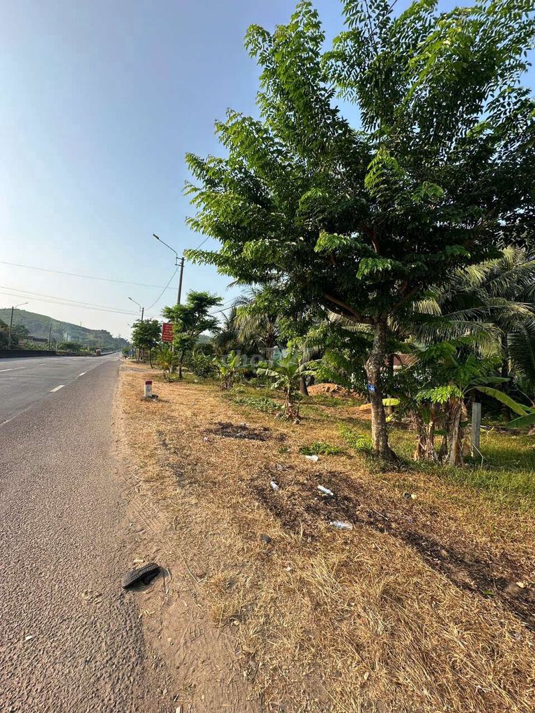 đất nhà ở hoài nhơn khu dân cư mới đẹp.