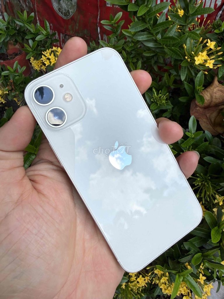 Apple iPhone 12 mini 128GB Trắng 64g 128g keng net. Mua bán Điện thoại tại Thành phố Sa Đéc Đồng Tháp được đăng bởi Lê Minh Lâm Hà hình 1