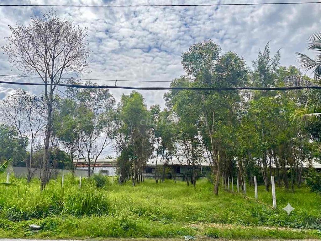 CHÍNH CHỦ GỬI BÁN LÔ ĐẤT DIỆN TÍCH LỚN MT Đ.TRẦN VĂN CHẦM ,SHR
