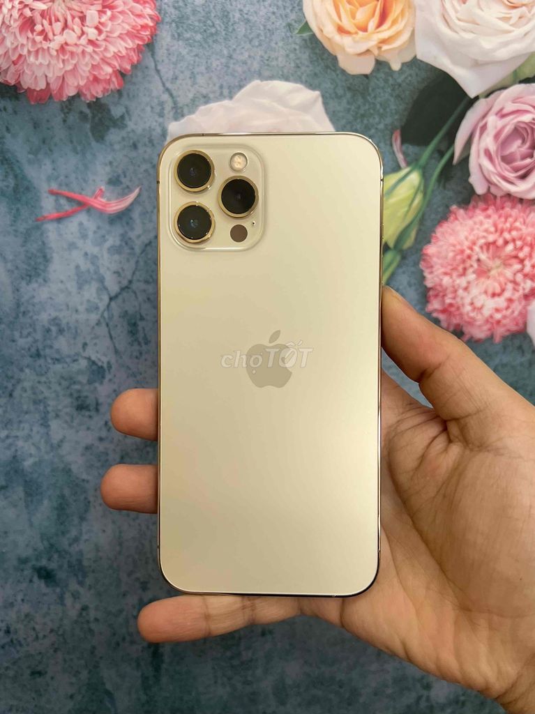 iPhone 12 Pro Max 256Gb Gold BH 6th có trả góp