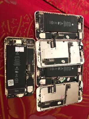 Bán xác ip7plus ko bao gì hết