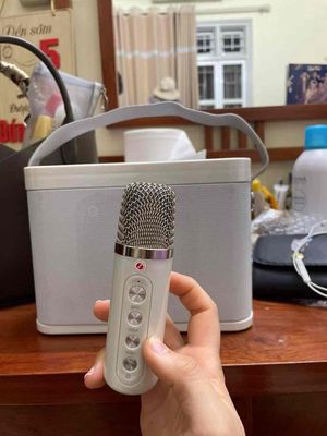 Loa Karaoke mini YS219, kèm 2 mic, có quai xách