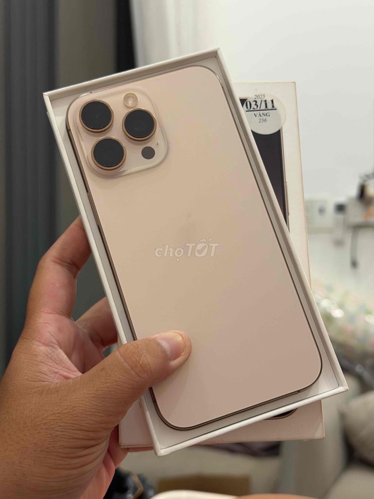 16 Promax 256Gb TBH VN/A Sạc 1 Lần. Mua bán Điện thoại tại Quận Ninh Kiều Cần Thơ được đăng bởi Dương Store hình 1