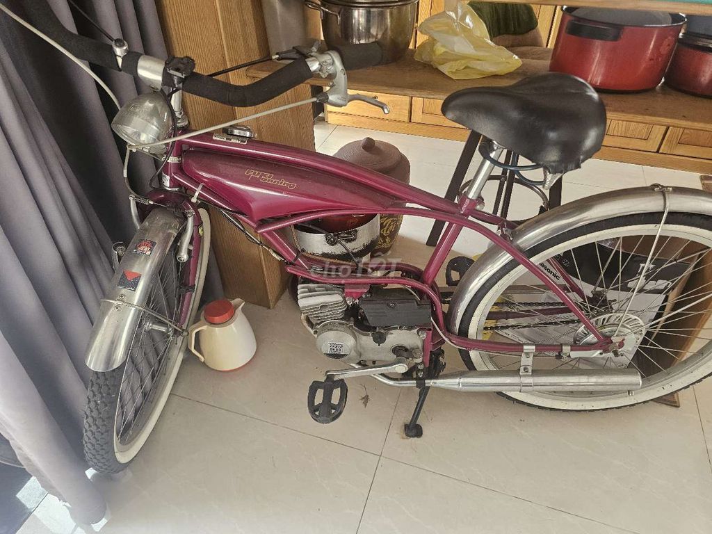 Xe đạp trợ lực Fuki Planning FK310 BE30 Tím. Mua bán Xe đạp tại Quận Hải Châu Đà Nẵng được đăng bởi A bũm hình 3