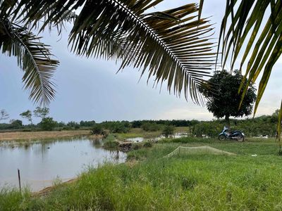 chính chủ bán 3 sào đất ruộng - quy hoach đất ở nông thôn - có đường. Mua bán đất tại Huyện Long Thành Đồng Nai được đăng bởi Khang Phát