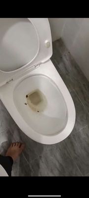 THÔNG TẮC BỒN CẦU, BỒN RỬA CHÉN, CỐNG... TP HCM.. Dịch vụ nhà cửa khác tại Thành phố Thủ Đức Tp Hồ Chí Minh được đăng bởi VŨ HỮU TRÍ