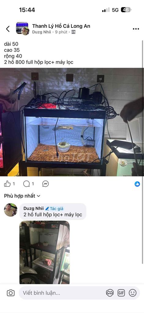 Hồ cá 50x40x35 cm có lọc. Mua bán Phụ kiện, Thức ăn, Dịch vụ tại Huyện Bến Lức Long An được đăng bởi nhii hình 1