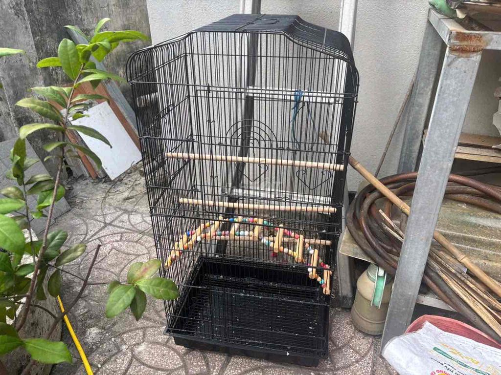 Lồng chim kim loại Đen. Mua bán Phụ kiện, Thức ăn, Dịch vụ tại Huyện Hòa Thành Tây Ninh được đăng bởi Bách hình 1