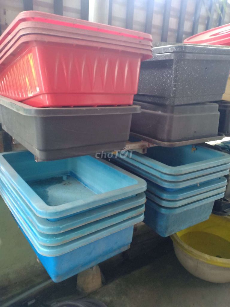 Khay nuôi cá Nhựa Đỏ, Đen, Xanh. Mua bán Phụ kiện, Thức ăn, Dịch vụ tại Thành phố Biên Hòa Đồng Nai được đăng bởi Lê Lâm hình 1