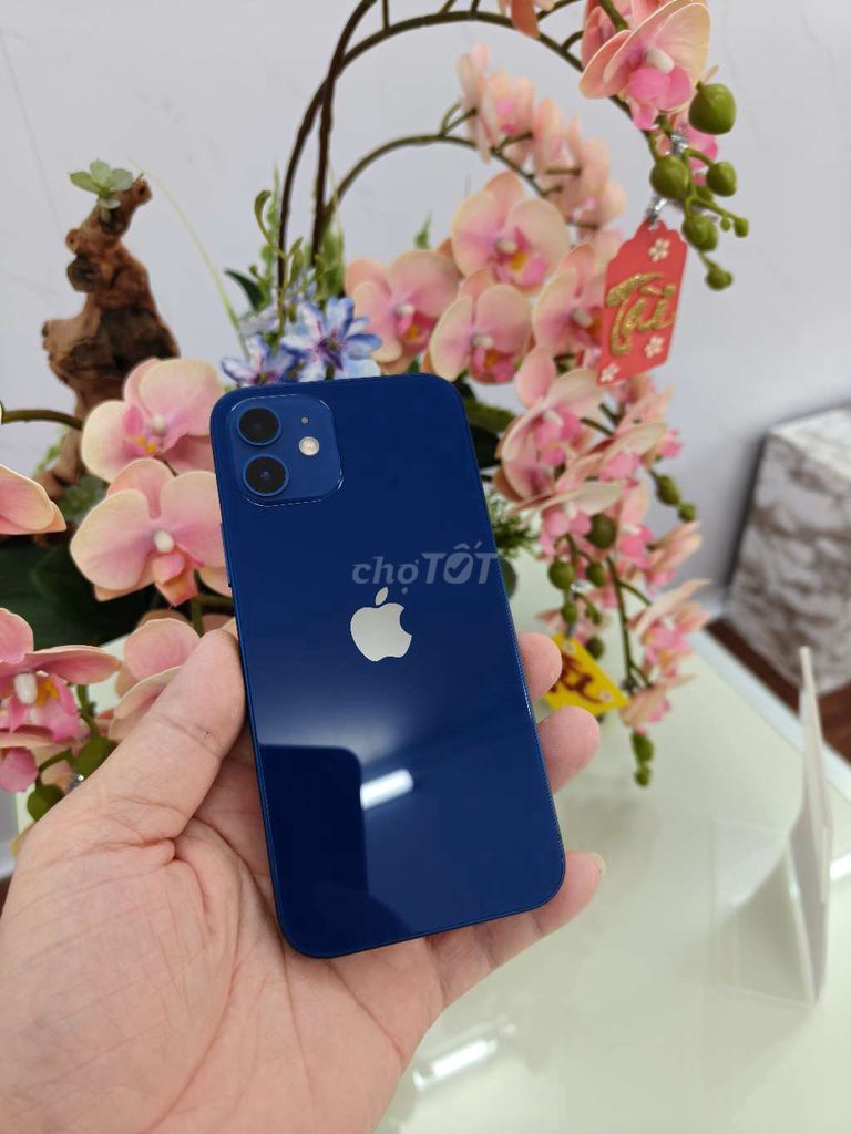 Apple iPhone 12 Xanh dương quốc tế. Mua bán Điện thoại tại Thành phố Buôn Ma Thuột Đắk Lắk được đăng bởi Tèo Điện Thoại  hình 1