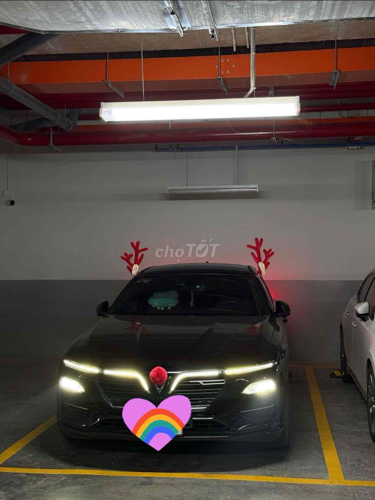 Ảnh số 2