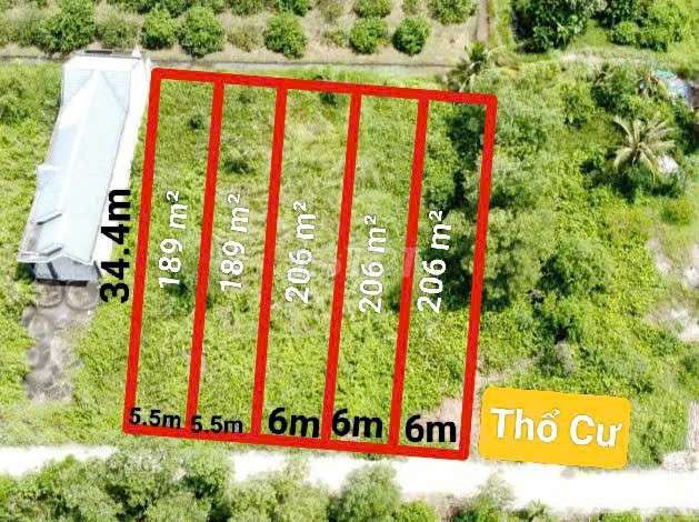 1000m2 thổ cư Thủ Thừa LA- SHCC- Đầu tư lâu dài hoặc xây nhà vườn. Mua bán đất tại Huyện Thủ Thừa Long An được đăng bởi TRẦN NGỌC TỰU hình 3