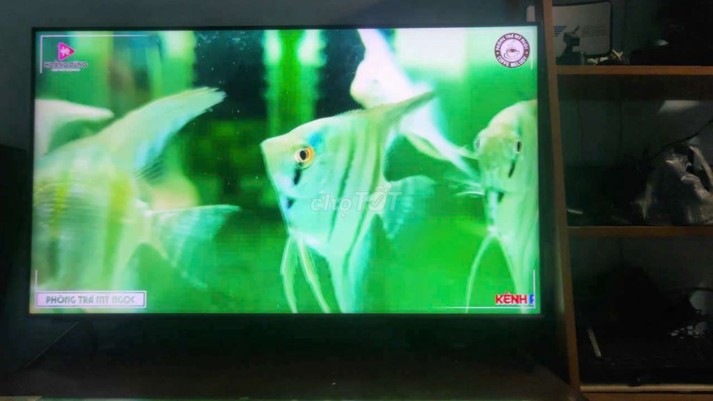 smart tv samsung 43in 4k giọng nói youtube nhanh.. Mua bán Tivi, Âm thanh tại Huyện Bình Chánh Tp Hồ Chí Minh được đăng bởi bán mau lẹ hình 1
