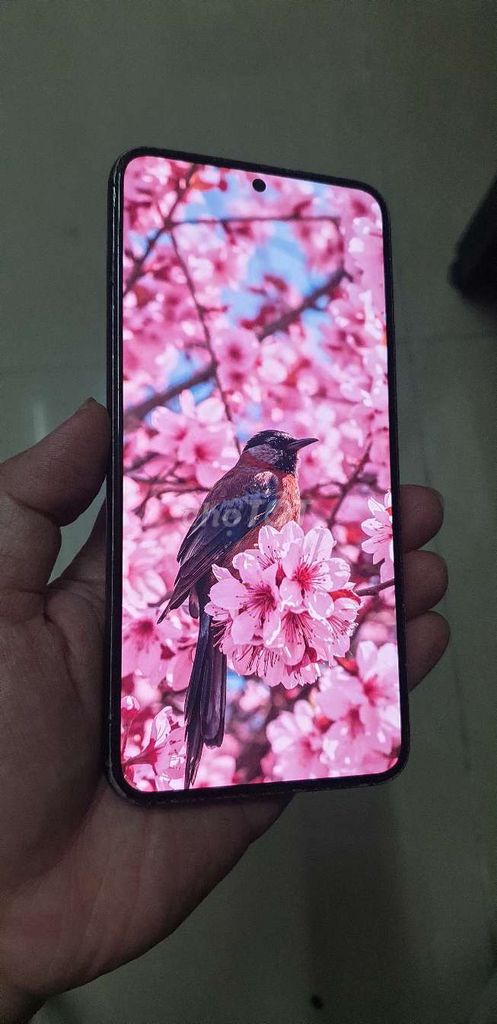 Samsung S22 màn zin trắng sáng ram 8gb. Mua bán Điện thoại tại Quận Tân Bình Tp Hồ Chí Minh được đăng bởi Điện thoại SAMPHONE hình 1
