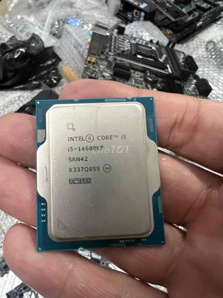 Cpu i5 13500 Tray