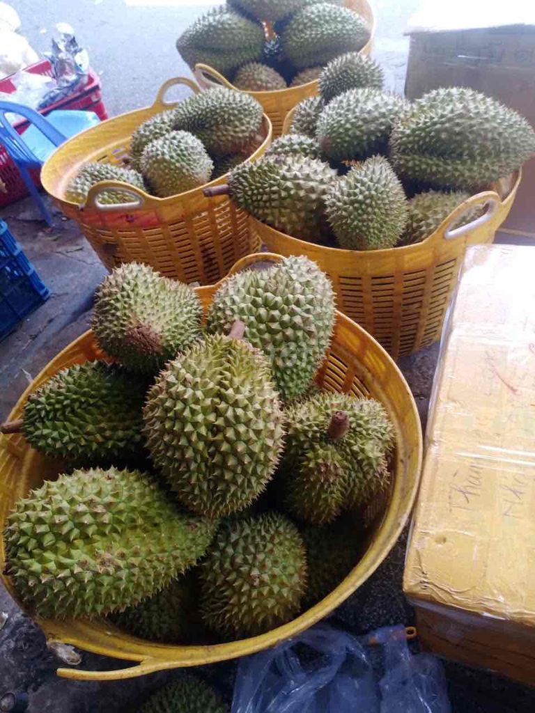 sầu riêng đông lạnh làm kem chè bánh. Mua bán Đồ ăn, thực phẩm và các loại khác tại Thành phố Long Xuyên An Giang được đăng bởi Mong Cầm hình 1