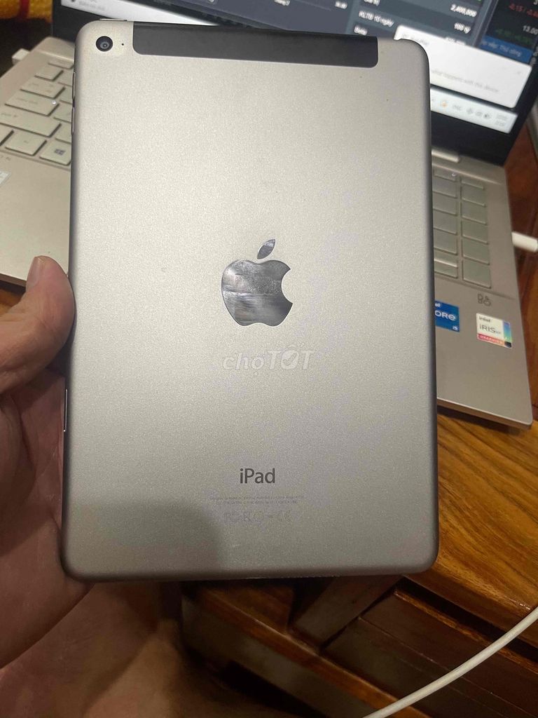 ipad mini 4 4g