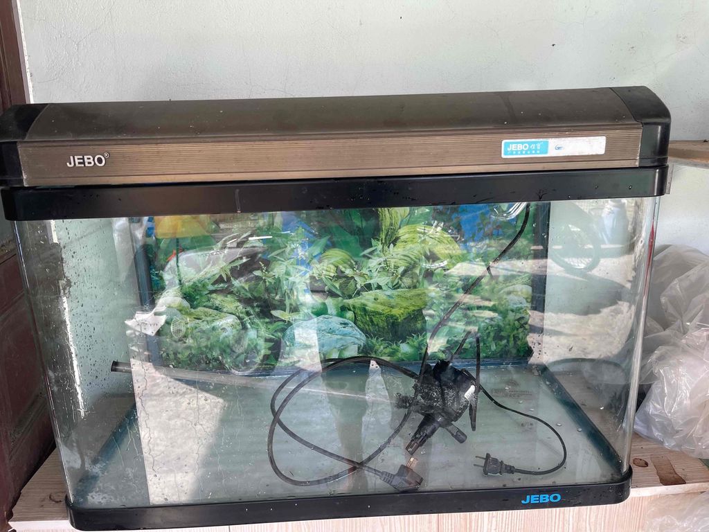 Bể cá cảnh JEBO Kính Đen. Mua bán Phụ kiện, Thức ăn, Dịch vụ tại Quận Dương Kinh Hải Phòng được đăng bởi trần văn sáng hình 1