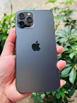 IPhone 12prm 256gb. Mua bán Điện thoại tại Thành phố Gia Nghĩa Đắk Nông được đăng bởi Nguyễn Thị Kim Thảo