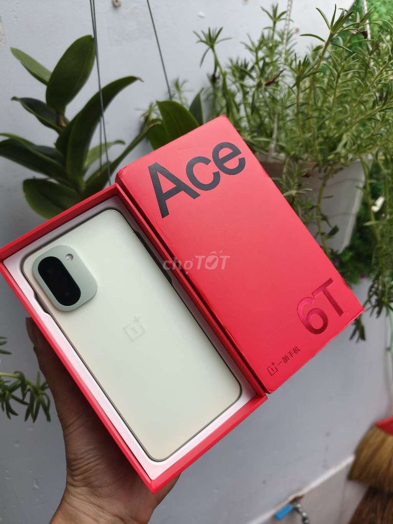 OnePlus Ace 6T 12/255GB Xanh cốm. Mua bán Điện thoại tại Quận Bình Tân Tp Hồ Chí Minh được đăng bởi Thái Bình Dương hình 1
