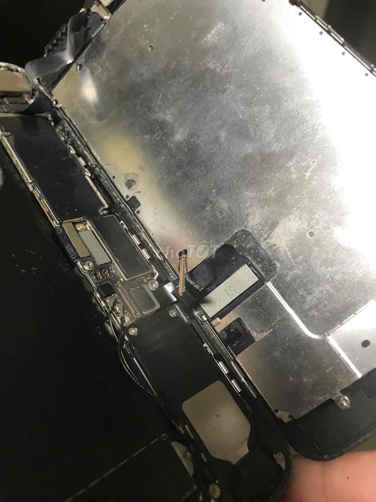 Apple iPhone 7 Plus Đỏ Không pin. Mua bán Điện thoại tại Quận 11 Tp Hồ Chí Minh được đăng bởi nam hình 1
