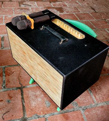 Loa karaoke di động Đen vân gỗ. Mua bán Tivi, Âm thanh tại Huyện Yên Phong Bắc Ninh được đăng bởi Phương Còi