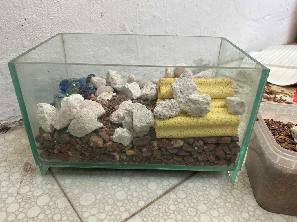 Bể cá cảnh kính trong suốt. Mua bán Phụ kiện, Thức ăn, Dịch vụ tại Quận Hà Đông Hà Nội được đăng bởi Nam Nguyen hình 1