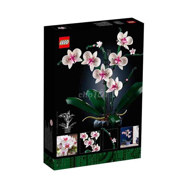 Đồ Chơi Lắp Ráp Hoa Lan Lego LEGO BOTANICALS 10311