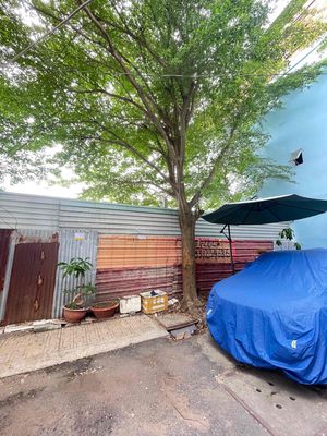 Plot of land 53.6 m² · Đường Huỳnh Tấn Phát