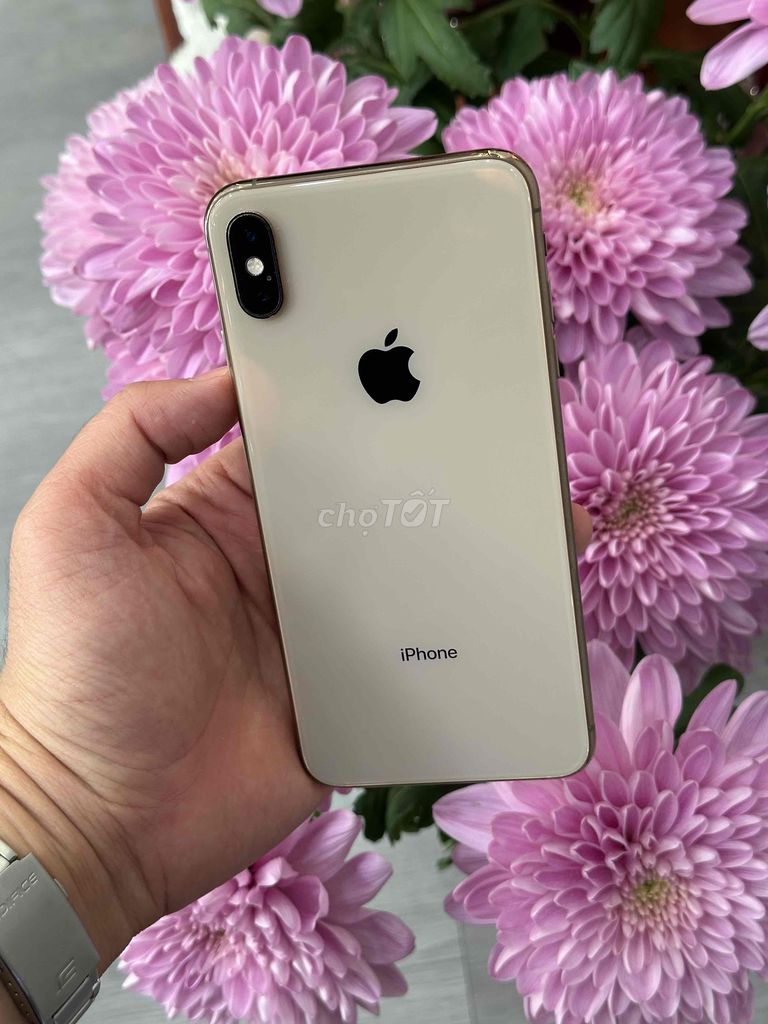 Xs Max 64Gb Gold Qte Mỹ Pin new 100 imei 938388393. Mua bán Điện thoại tại Quận Ninh Kiều Cần Thơ được đăng bởi Quý Mobile Cần thơ hình 1