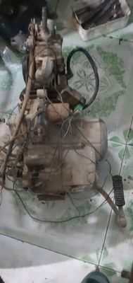 Cục máy future neo LD. Mua bán Phụ tùng xe tại Quận Đống Đa Hà Nội được đăng bởi ngọc luynh