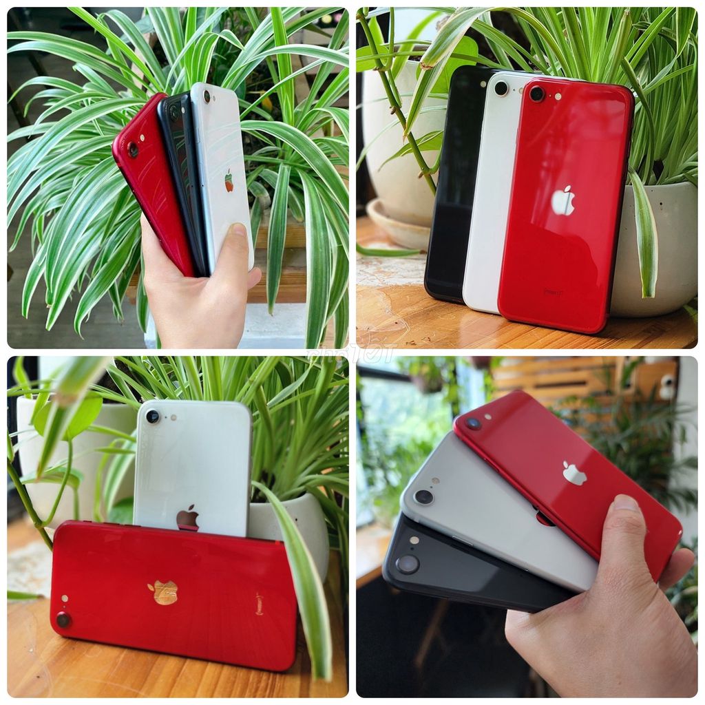Iphone SE2 & SE 3 cấu hình mạnh 2sim có ship. Mua bán Điện thoại tại Quận Tân Phú Tp Hồ Chí Minh được đăng bởi MÁY ZIN CHUẨN GIAO TẬN NHÀ hình 1