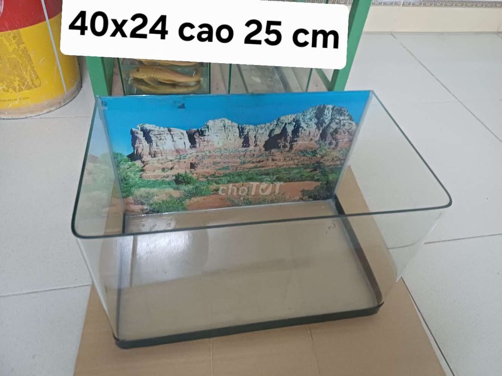 Bể cá cảnh Kính 40x24x25 cm Tranh 3D. Mua bán Phụ kiện, Thức ăn, Dịch vụ tại Quận Thanh Xuân Hà Nội được đăng bởi alo tớ nè hình 1
