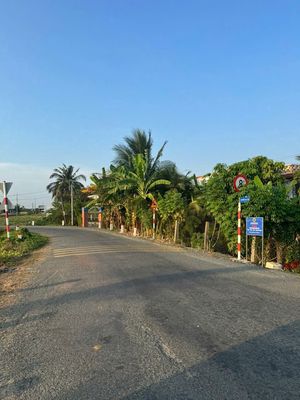 cách nhựa tl833b 200m 5x30 thổ cư mặt tiền nhựa 6m tại tân trụ long an. Mua bán đất tại Huyện Tân Trụ Long An được đăng bởi Vũ Khoa LA 