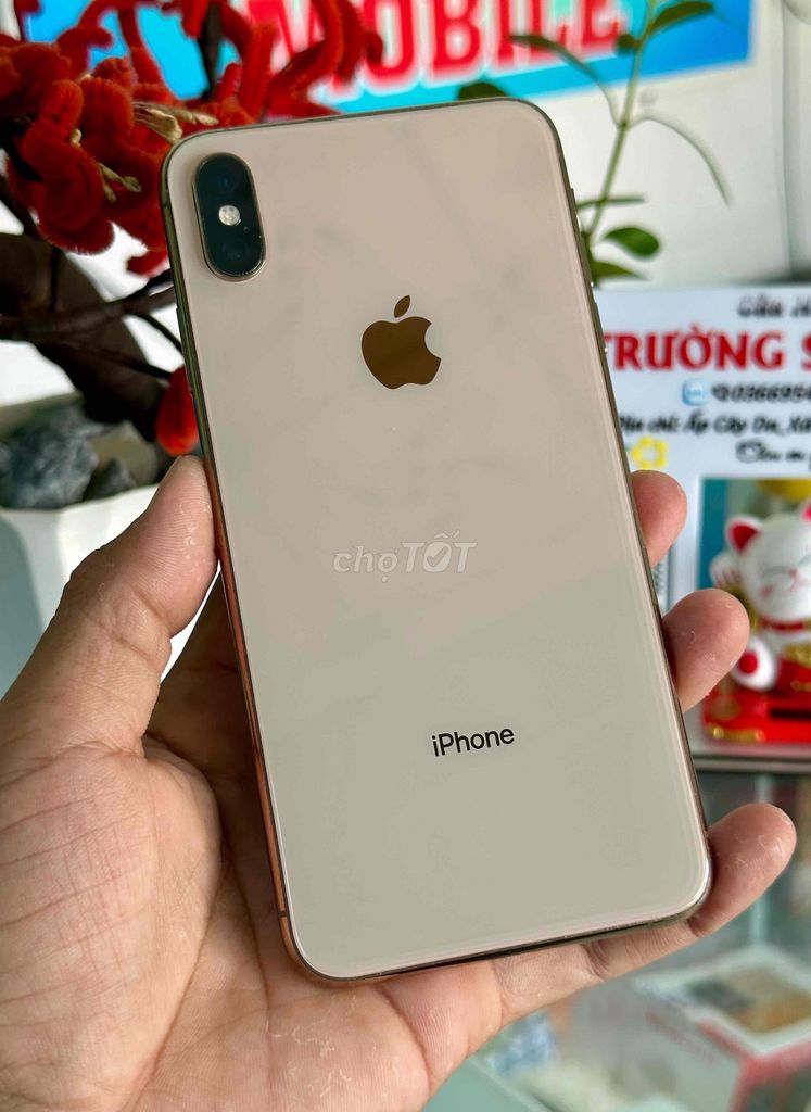 iPhone Xs Max 64GB Vàng Đã sử dụng. Mua bán Điện thoại tại Thị xã Duyên Hải Trà Vinh được đăng bởi Chợ ĐT Giá Tốt hình 1