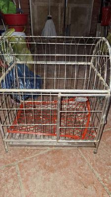 Lồng thú cưng Inox 45x35x50cm. Mua bán Phụ kiện, Thức ăn, Dịch vụ tại Quận Hoàng Mai Hà Nội được đăng bởi Thu Sẽ Gầy