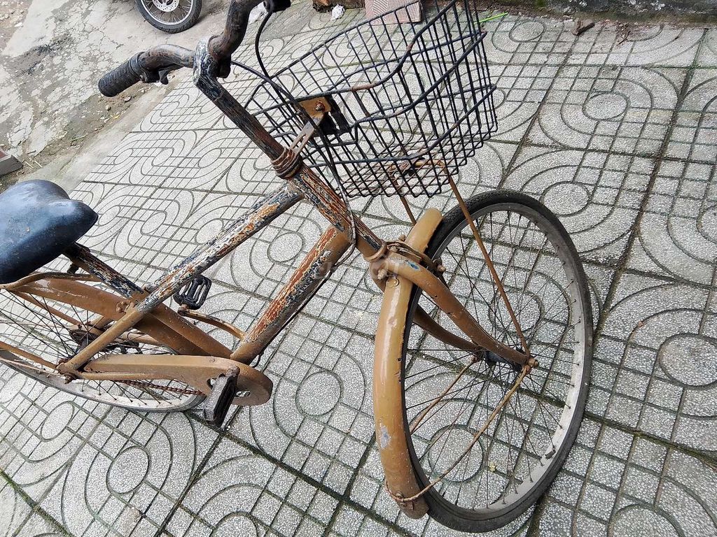 Xe đạp Cổ điển màu Nâu. Mua bán Xe đạp tại Quận 6 Tp Hồ Chí Minh được đăng bởi Ngọc Lực hình 2