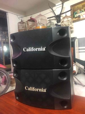 loa (California model CL-288K) loa rin. Mua bán Tivi, Âm thanh tại Quận Bình Tân Tp Hồ Chí Minh được đăng bởi Minh khánh
