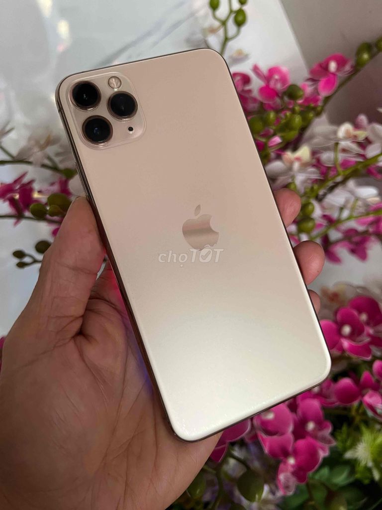 iPhone 11 ProMax 64GB Qtế Face id nhạy pin 100%. Mua bán Điện thoại tại Thành phố Vũng Tàu Bà Rịa - Vũng Tàu được đăng bởi Hoa nguyễn hình 1