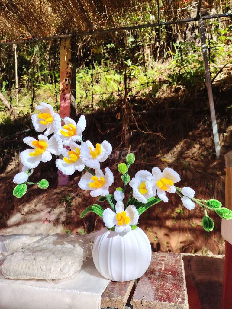 Chậu hoa giả Kẽm nhung Hoa lan. Mua bán Cây cảnh, đồ trang trí tại Thành phố Đà Lạt Lâm Đồng được đăng bởi Tiệm bánh Thanh Hà hình 1