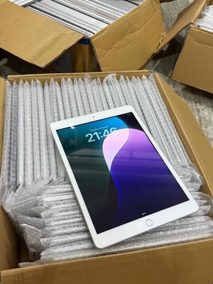 Apple iPad Gen 9 64GB 4G Bạc