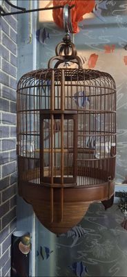 Lồng mi trung quoc. Mua bán Phụ kiện, Thức ăn, Dịch vụ tại Quận Tân Bình Tp Hồ Chí Minh được đăng bởi Phong