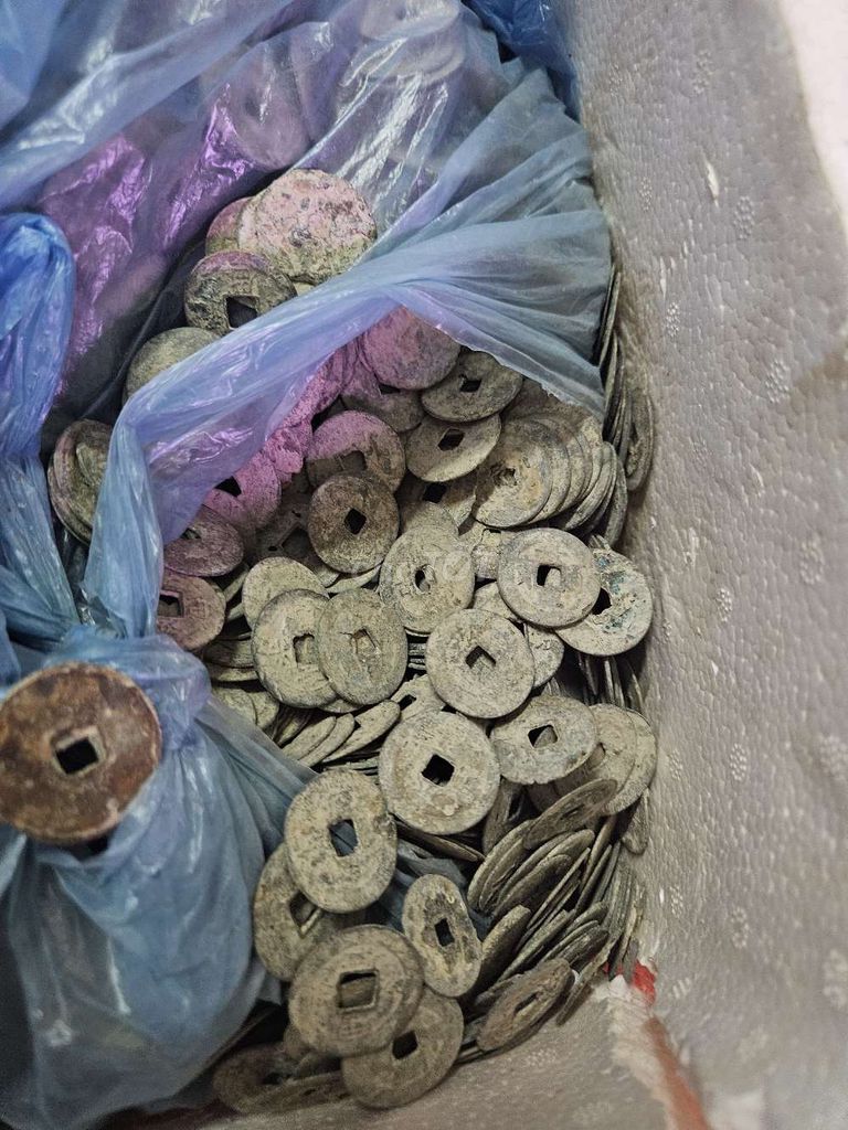 100 xu cổ triều Nguyễn Việt Nam bao kiểm định